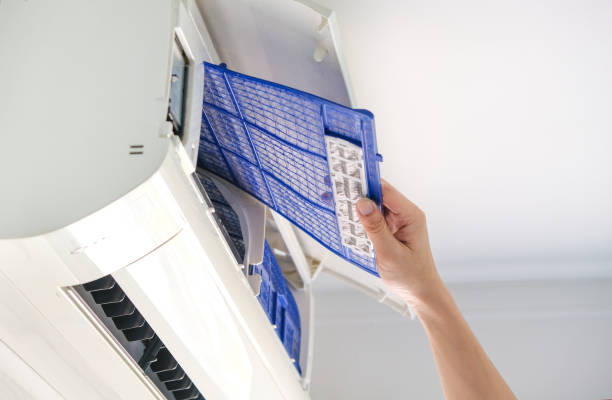 Best Air Duct Cleaning Near Me  in Lake Sarasota, FL